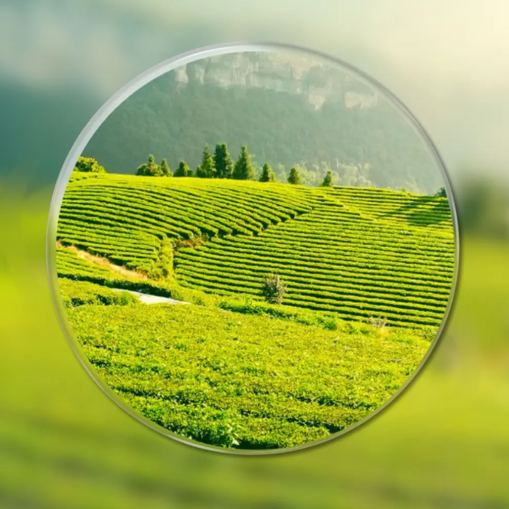 /69204fcab9a5e0000a7dfcd7/2026/02/08/product-img-6988a6456f539c4f6d61e7d8.png